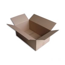Enveloppebulle - Lot de 100 Boîtes carton (N°60) format 500x300x200 mm