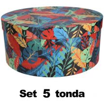 Boîte en carton 1-5 plumes multicolores rondes cmø40,5h17,8