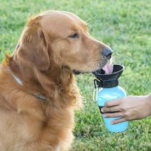 Gardeneas - botella bebedero mascotas innovagoods -