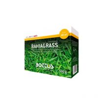 Sementi Paspalum notatum Bahiagrass Bottos 500gr prato rustico e chiaro