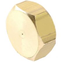 Bouchon femelle 33/42 laiton Garis D03507B