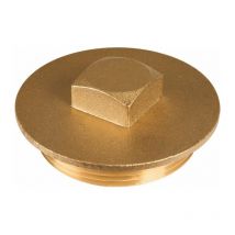 Bouchon laiton à visser - m 2'