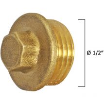 CIS - Bouchon aveugle mâle en laiton 1/2'