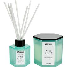Beliani - Bougie à la Cire de Soja et Parfum à Bâtonnets Senteurs Brise de Mer Classy Tint