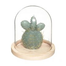 Bougie avec Cloche en Verre 'Jardin' 145g Vert
