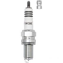 Bougie allumage boite - DCR8EIX 3606 - NGK