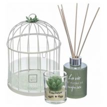 Bougie Parfumée et Diffuseur avec cage déco - Eucalyptus Silumen
