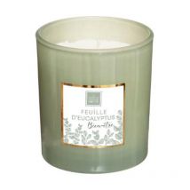 Bougie Parfumée "Mael" 190g Feuille d'Eucalyptus
