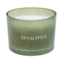 Bougie Parfumée Déco 'Cosy' 280g Eucalyptus