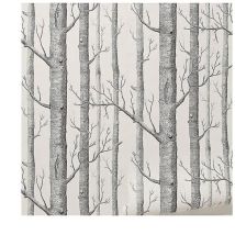 Paryou - Bouleau arbre papier peint décor moderne papier peint rouleau forêt bois papiers peints pour chambre