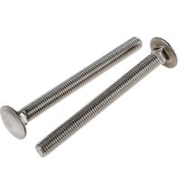 Boulon Acier Inoxydable, Brut, M10 x 110mm ( Prix pour Sachet de 10 )