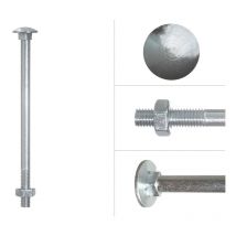 Boulon trcc galvanisé M10 x 160 mm - 50 pièces