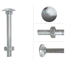 Boulon trcc galvanisé M6 x 55 mm - 200 pièces