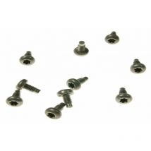 Boulons pour refrigerateur Dometic 295243540