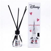 Francal - Bouquet ambiance parfumé Disney modèle Love in Paris Mickey & Minnie