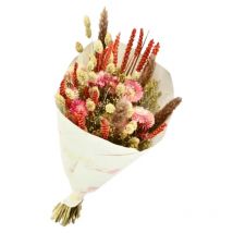 Bouquet de Fleurs séchées Dandy Rose Orange 50 cm