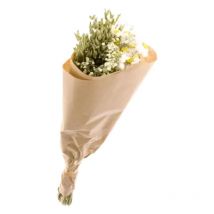 Bouquet Fleurs Séchées mix blanc déco 50 cm