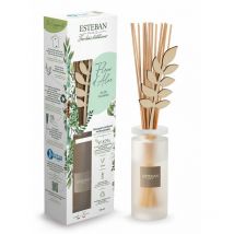 Bouquet Profumato Fleur D'Aloe 100ml Esteban Paris Parfums