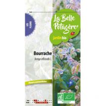 Bourrache officinale 2 g