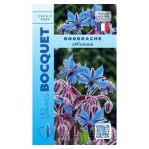 Bourrache Officinale - 2g