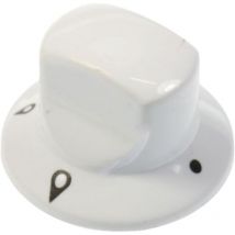Bouton blanc polaire