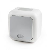 Bouton Lumineux 10A 250V IP54 Gris