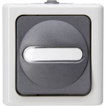 Kopp - Bouton-poussoir 560856002 BlueElectric gris