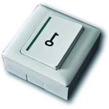 Acie - bouton poussoir - no/nf - boitier abs - saillie - avec symbole clé bopo