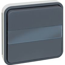 Eur Ohm - Pulsador luminoso de etiqueta componible - IP55 - oxxo Color Gris