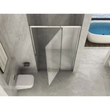 Docciabox - Box Porta Doccia Opaco 6MM Apertura Semi Battente Pivot Interno o Esterno 100 (97-101) x H190 cm