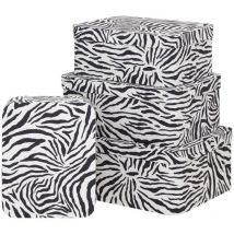 Box x4 polybox zebra - 5five