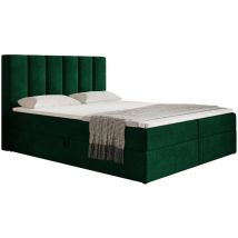 Foro Boxspringbett 160x200 - Bettkasten, Matratze, Topper - Samtstoff Grün (Kronos 19)