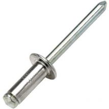 Bralo - 4.8mm x 16mm Aluminium/Steel Standard Head Dome Rivets