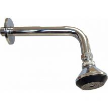 Tecom - Bras de douche avec pomme de douche et rosace de 20 cm de long DBRD20SOFB Chromé