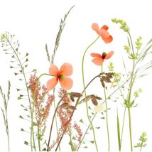 Servietten Motiv Wiesenblume 33 x 33 cm Tischservietten - Braun&company