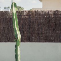 Brezo Natural Ecológico Medium Plus 1,5x5 M