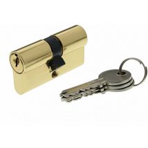 30101 Cilindro di serratura doppio ingresso securipro Dimensione 30 + 30 mm in ottone - Bricard