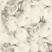 BRICOFLOR Papier peint fleur noir et blanc | Papier peint pivoine | Papier peint grosses fleurs | Papier peint noir et blanc chambre & bureau - 10,05