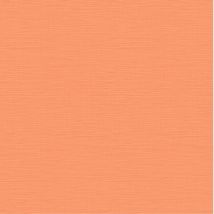 BRICOFLOR Papier Peint moderne orange Tapisserie orange pour salon original Papier Peint intissé orange pour cuisine, chambre & plus