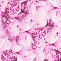 BRICOFLOR Papier peint pivoine | Papier peint flashy | Papier peint grosses fleurs | Papier peint rose fluo | Papier peint chambre fille & ado