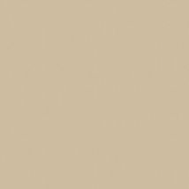 BRICOFLOR Papier peint uni Papier peint Gris - Papier peint Uni - 21,00 x 1,06 m
