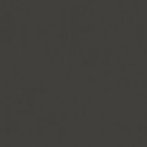 BRICOFLOR Papier peint uni Papier peint intissé Noir - Papier peint Uni - 10,05 x 0,53 m