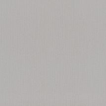 BRICOFLOR Papier peint uni Papier peint papier Gris Métallique - 10,05 x 0,53 m