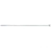 Fischer - Brida, bn, 7.6 x 450, transparente 037996