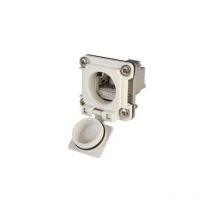 Telegärtner - Bride IP67 stx V6 100022954 RJ45 embase femelle à encastrer Pôle: 8P8C gris clair 1 pc(s)