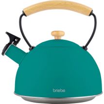 Briebe - Nordic Bouilloire à Induction Théière Sifflet 2,3L Acier Inox., Poignée en Bois Vert