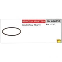 Briggs&stratton - Dichtungen 281165