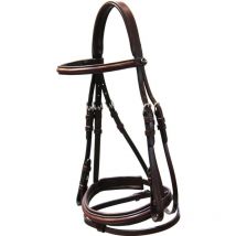 Gold - Briglia inglese in cuoio italiano con nasalina imbottita e federata completa di redini in gomma: Cob, Marrone