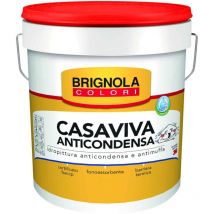 Idropittura anticondensa e antimuffa 14LT Brignola 7D019100000014000