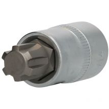 1/2' RIBE-Bit-Stecknuss, 55 mm lang, M14